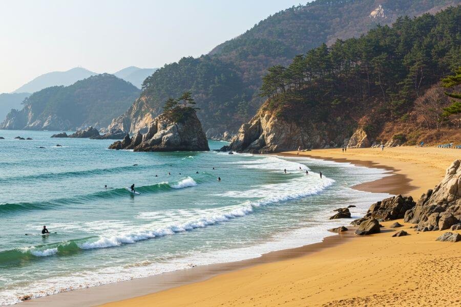 hajodae beach mister korean