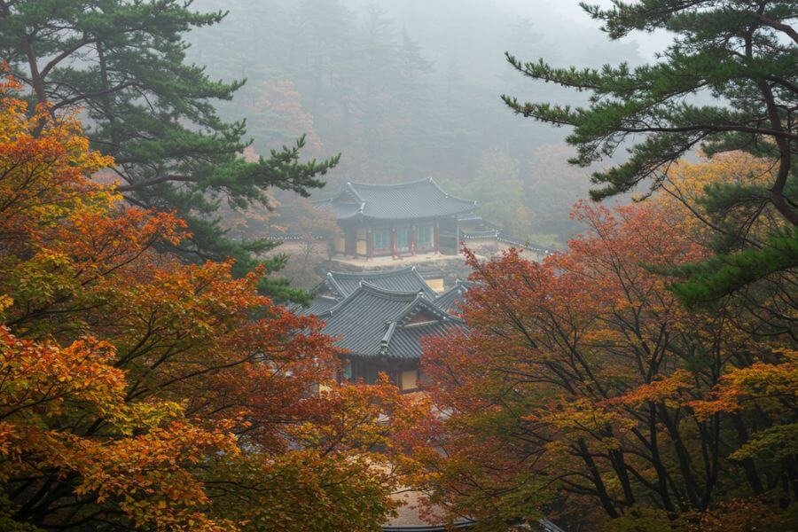 songnisan mister korean