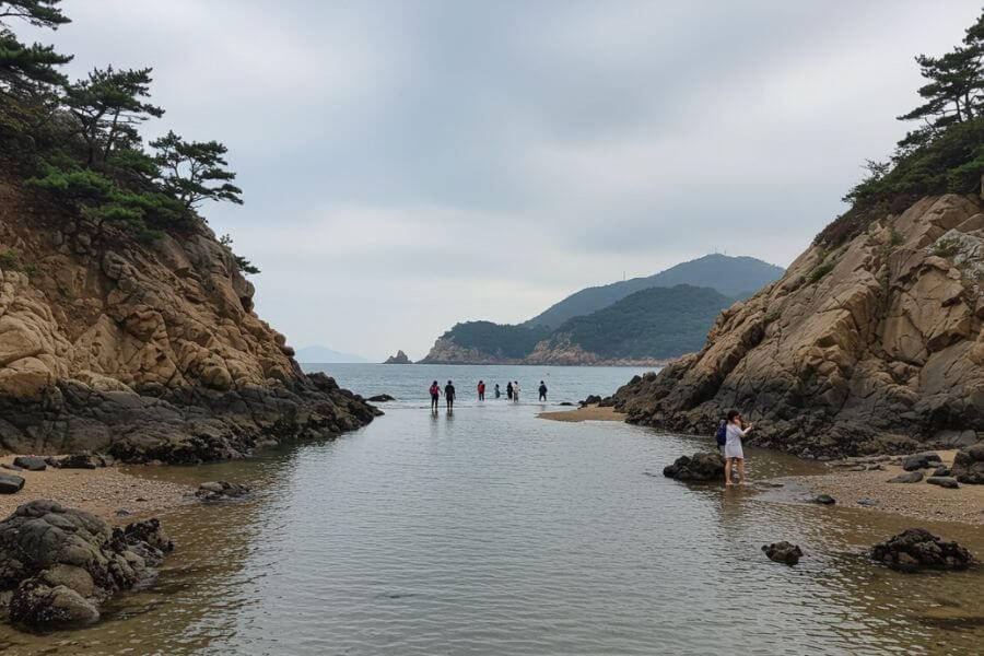 jindo island 10 best korean islands you should explore in 2025 mister korean